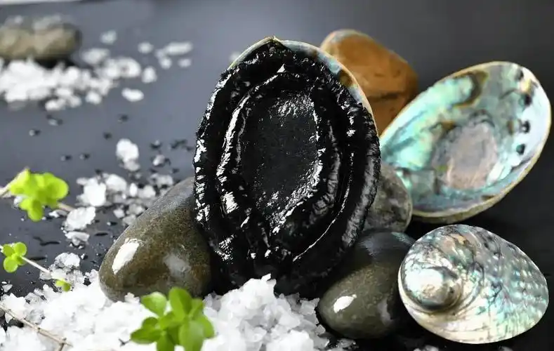 新西兰黑金鲍泛滥成灾,为何不请中国吃货帮忙?