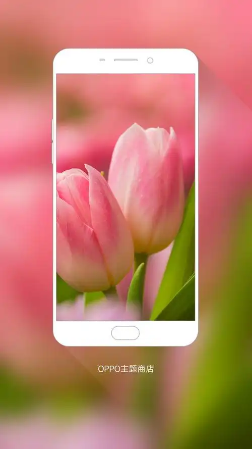 我在#oppo主题商店#发现一款壁纸 郁金香【海洛