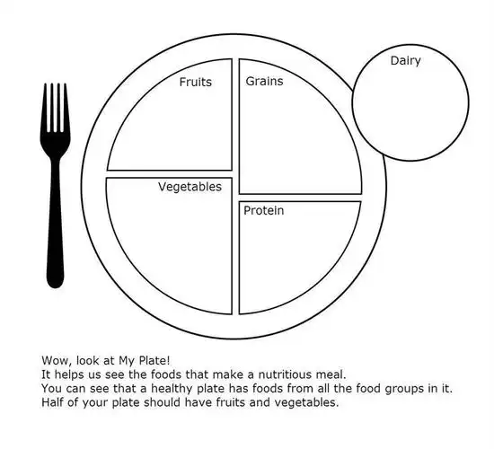 my food plate worksheet