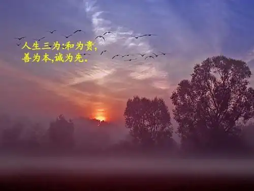 感悟人生哲理的文章