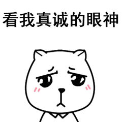 看我真诚的眼神