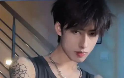 抖音帅哥合集清风明月草长莺飞