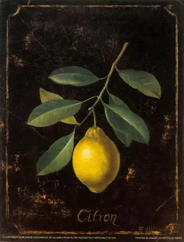 柠檬石榴龙虾油画装饰画