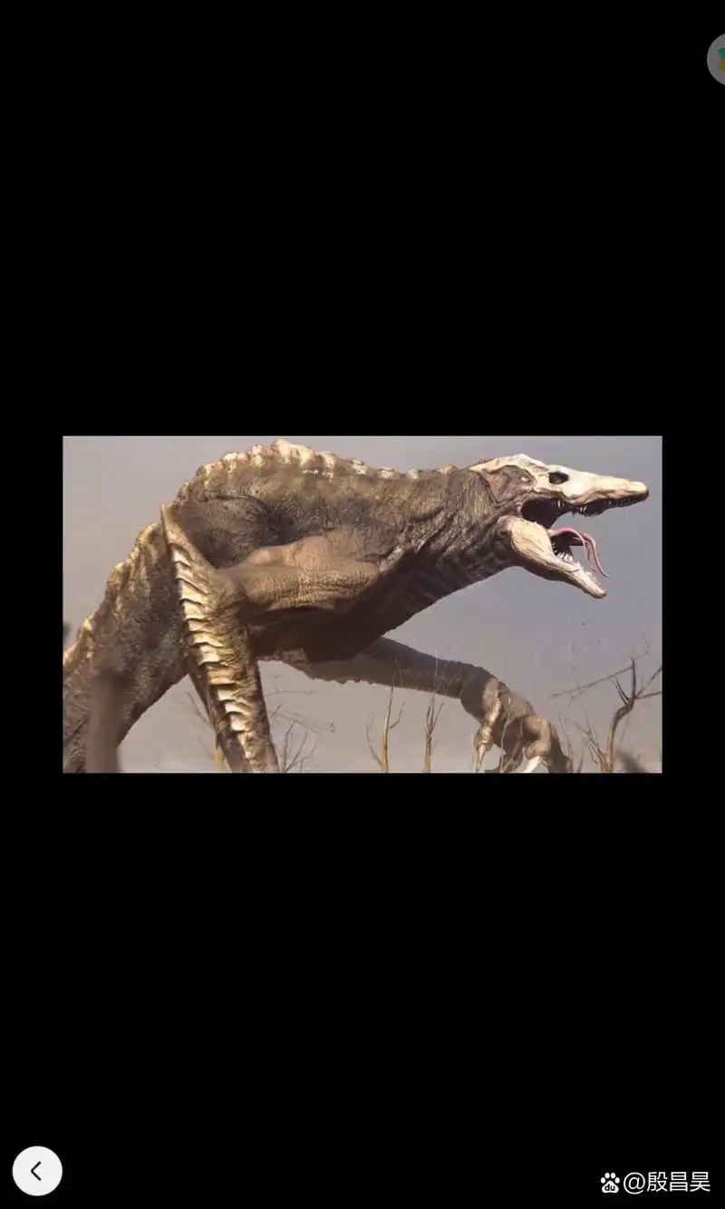 第九名:骷髅爬行者:骷髅爬行者又名骷髅巨蜥或骷髅爬虫,拥有着两个大