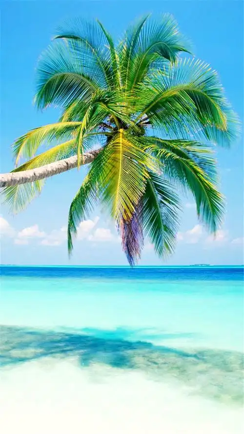 清凉海滩风景h5背景