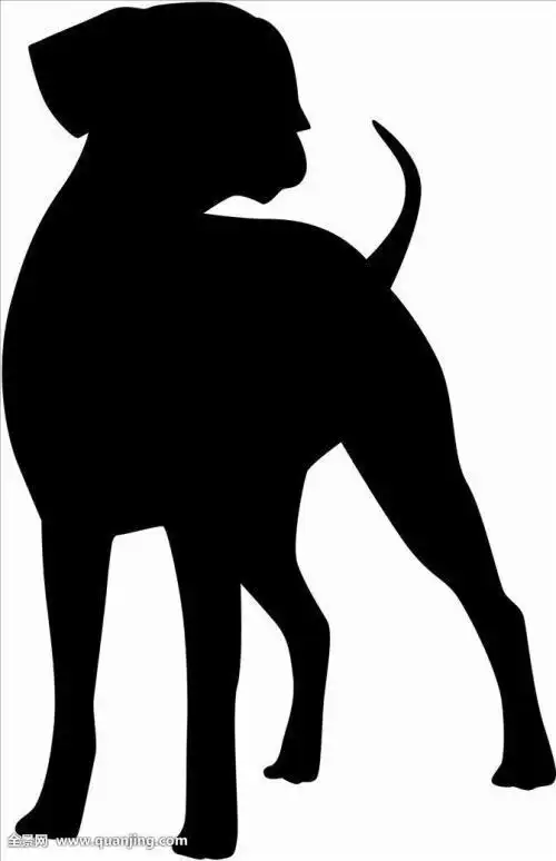 动物影子的简笔画 简笔画图片大全-普车都