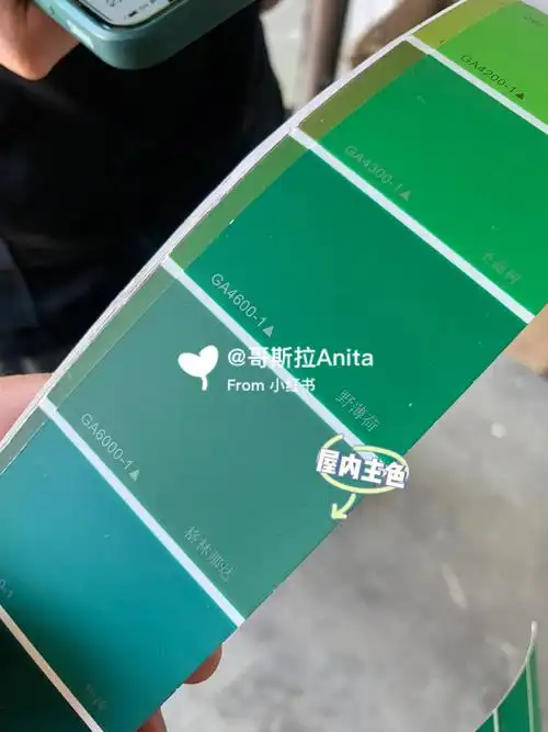 室内主色最后定了网红深绿色格林纳达9299.