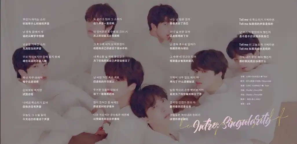 bts防弹少年团love yourself转tear专辑歌曲翻译.cr.bts姐姐应援站