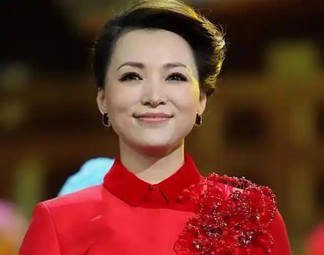 49岁董卿消失两年罕露面,头发变短,下巴变尖,被丈夫牵连失工作