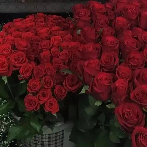 今日签收ins风背景图