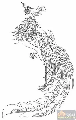 凤-白描图-雏凤清声-huangf003-白描凤图