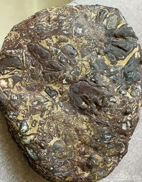 亿万年的馈赠一一奇石陨石记