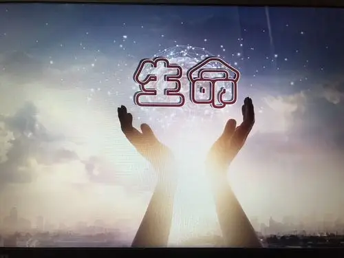 敬畏生命尊重生命——记太白街小学三年级思政课