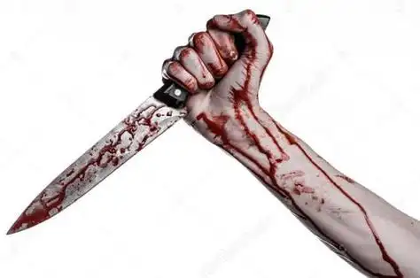 周公解梦大全查询一