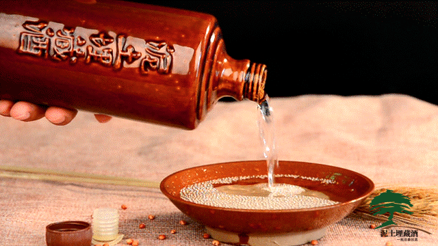 在老婆的逼迫下,我签下了不平等条约……_白酒论坛_酒市网