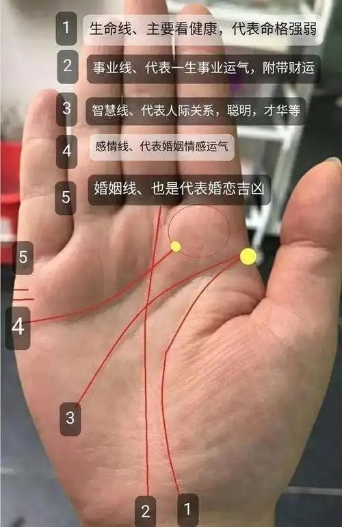 你想要知道具备有钱人特征的手相吗?拥有下面一种就是富贵命