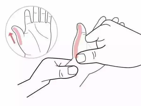 清脾经500次,清胃经300次,清大肠300次,清小肠300次,退六腑400次,揉