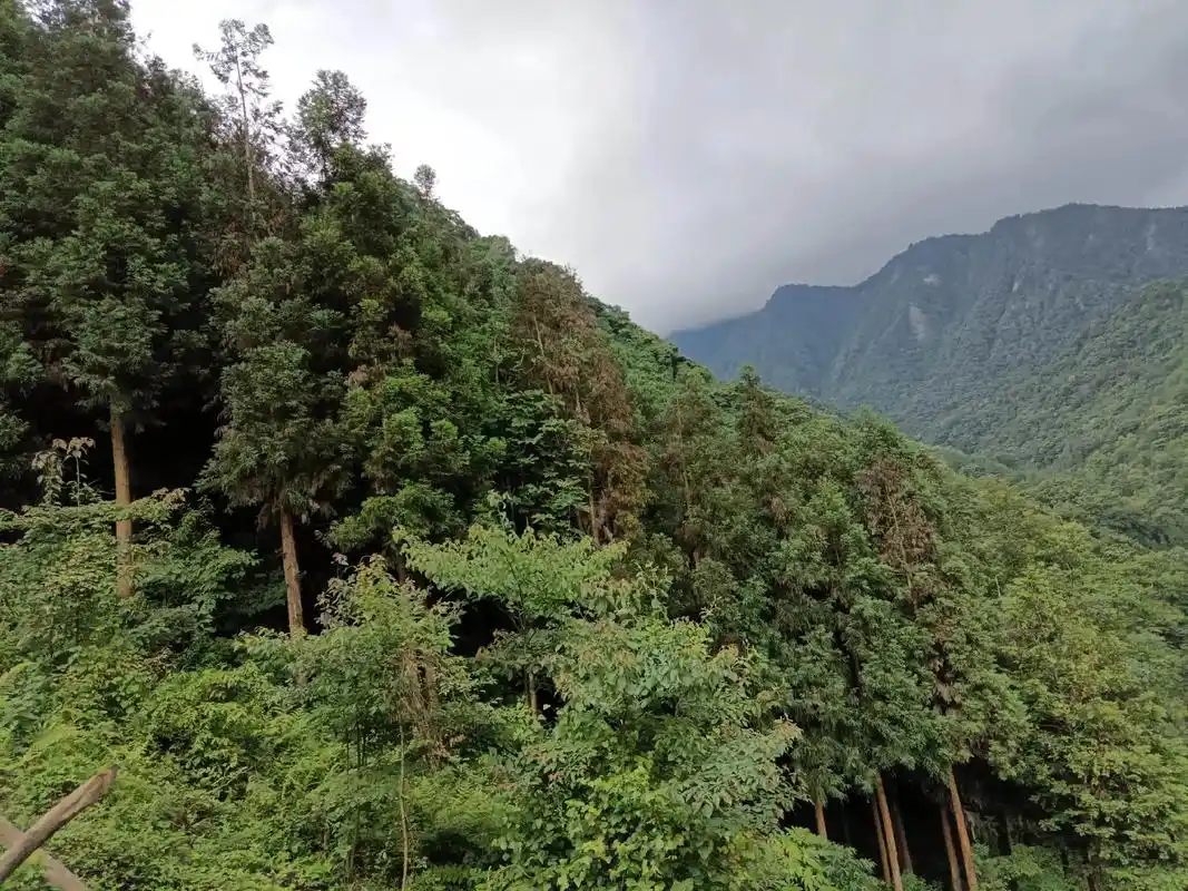 假期徒步九龙沟后山,风景美,空气清新.难度还是挺大的