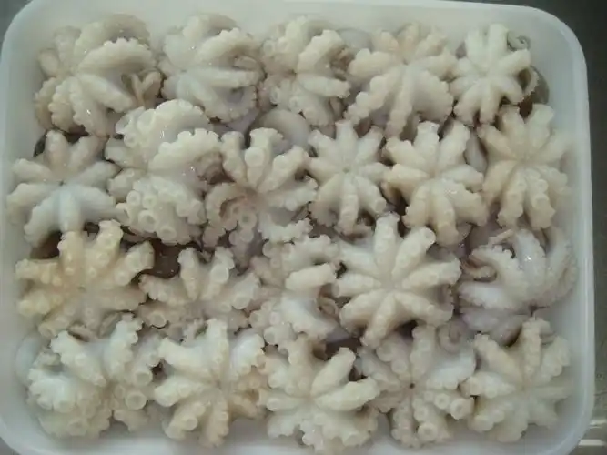 供应 冻小章鱼花 高质量可供五星级酒店使用