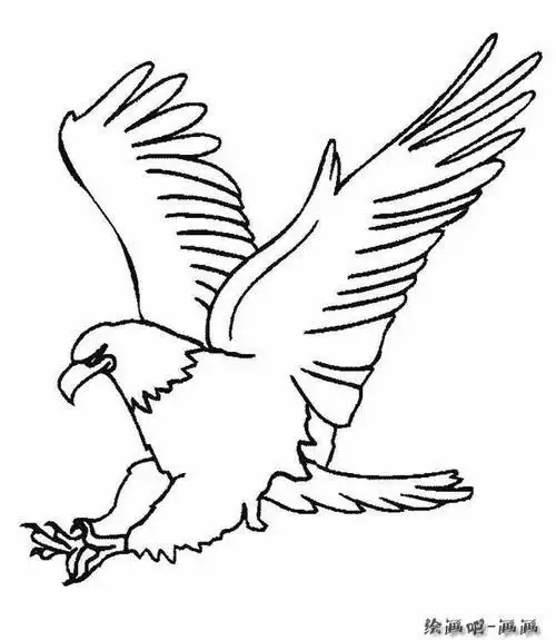 老鹰简笔画动物图片大全7简笔画系列一步一步教你画鹰老鹰简笔画图片