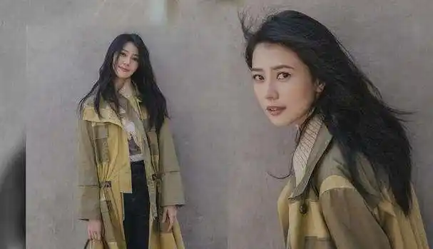 木头美人对比灵气美人陈红输了周迅何晴太亮眼了