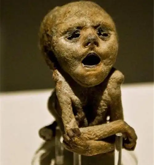 诡异女木乃伊居然离奇怀孕而且胎儿父亲还是她的看守人