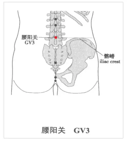 学经络——督脉 - 好大夫在线