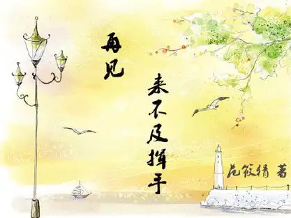 再见 来不及挥手