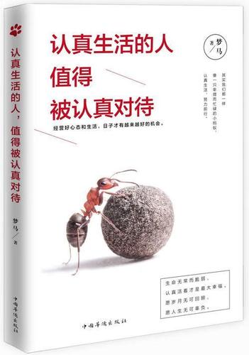 认真生活的人 值得被认真对待励志与成功人生哲学通俗读物 图书