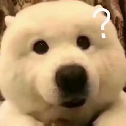 萌宠大眼睛白色狗狗gif动图_动态图_表情包下载_soogif