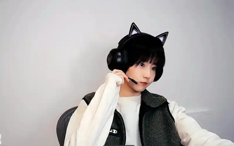 成果狗哥狗哥11月28号吃鸡英雄联盟内含多款语音提示包哦直播录像完整