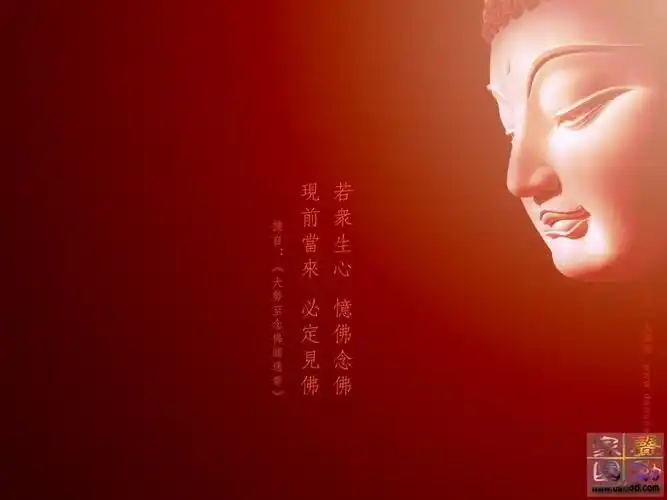 佛说前世今生一