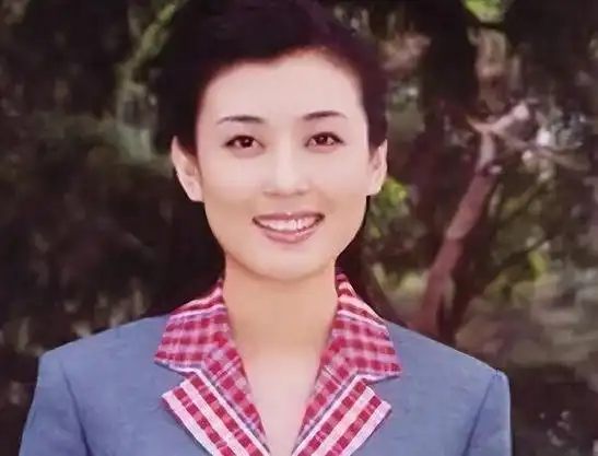 央视美女主持人李红逃过婚被造谣拜金女风光背后有艰辛