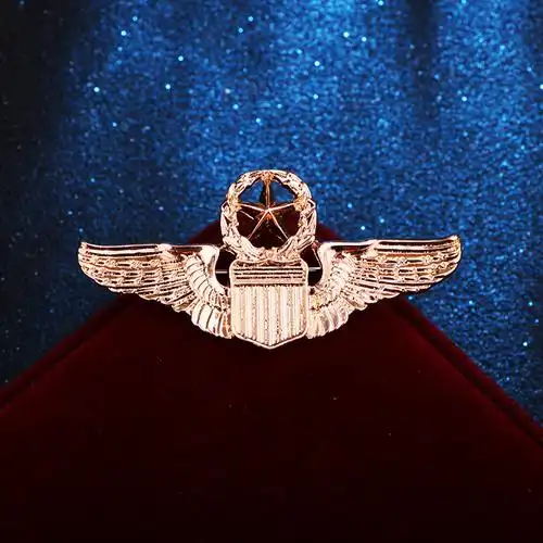 欧美二战时期美国空军徽章军事学院军官胸针 霸气五星角翅膀胸章