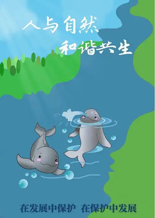 时隔多年见惊喜,2020年11月24日上午,南通五山景区外江面再现江豚戏水