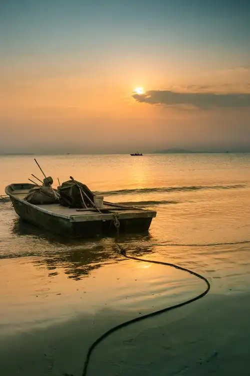 华人摄影创作艺术交流俱乐部作品展第52期