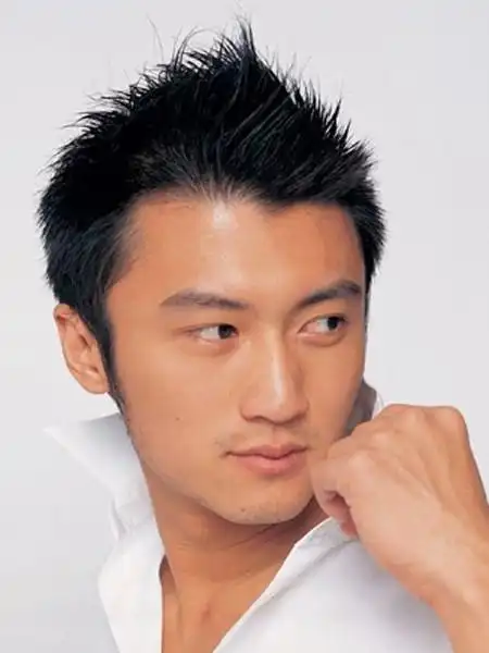 图说谢霆锋发型进化史杀马特村帅造型王菲醉了