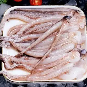 恺蒂鲜新鲜大鱿鱼仔整只鲜活冷冻生鲜冰冻鱿鱼须烧烤铁板尤鱼海鲜鲜切