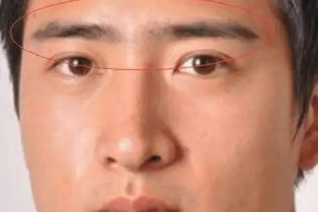 男人眉毛短是什么面相