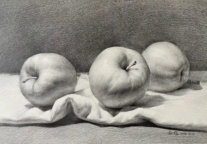 素描静物苹果