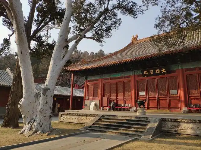 法海寺大雄宝殿每次到访法海寺,当我站在天王殿内,看着那四周崭新的白