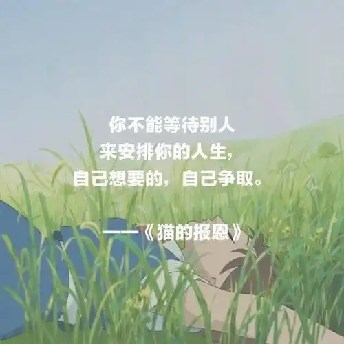 宫崎骏电影里的每一句,都是治愈心灵的良药