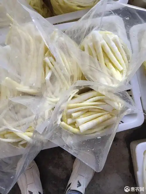 清水笋罐头 清水罗笋