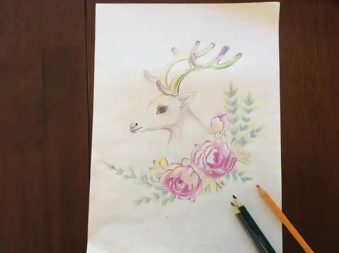 彩铅练习--森系小鹿