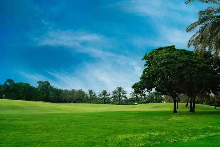 景观与树木和蓝蓝的天空