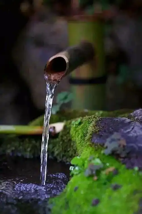 "古善泉"天然袋装山泉水