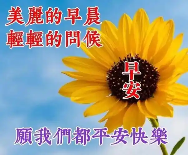 上午好动态图片大全上午好问候句子