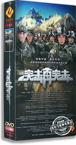 正版电视剧 突击再突击13dvd 高清珍藏版 陈月末 王帅 高艺丹