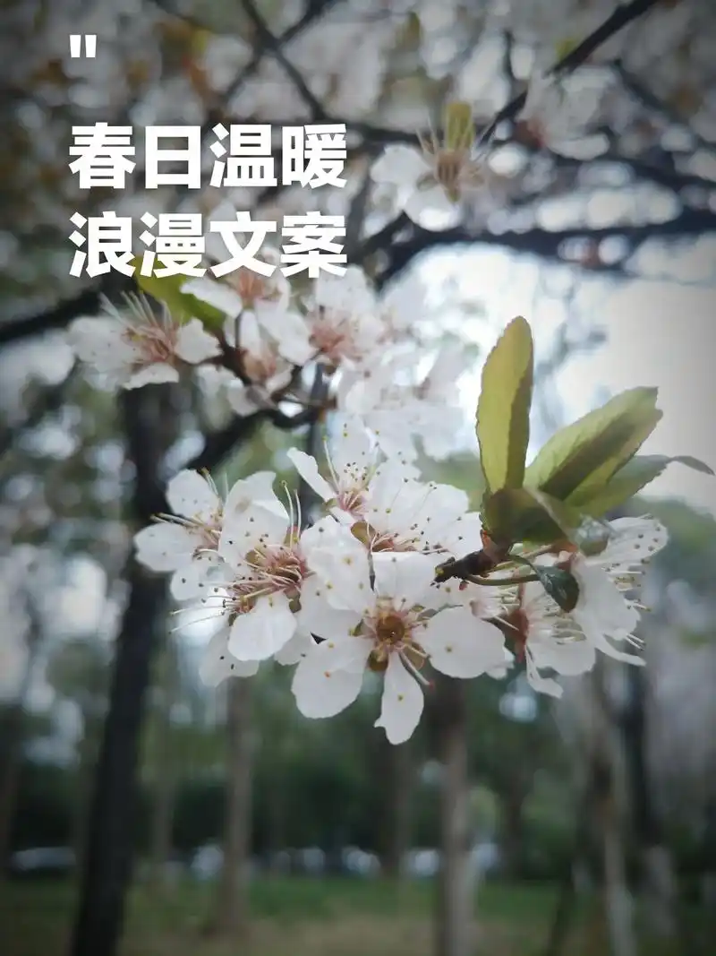 春天的唯美短句子1,随手抓一束风,就是一 - 抖音