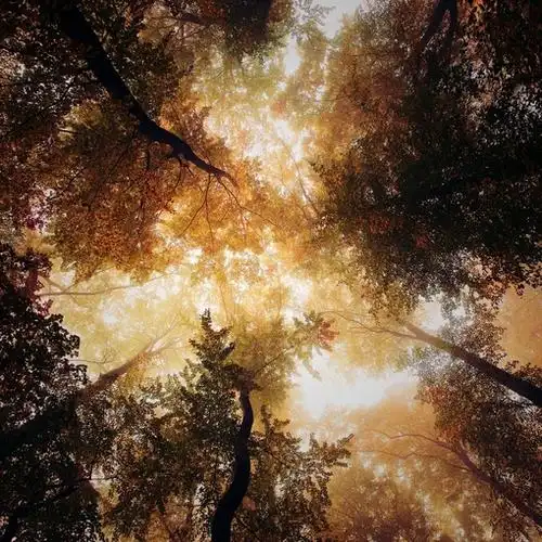 留不住的人 血液里住着风图片 -意境图片-唯美图片大全